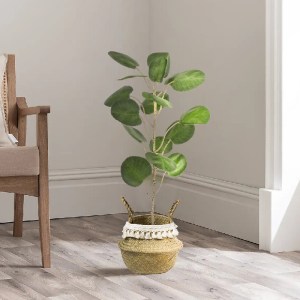 glo-20307-436e82_20373_20307 GLOBOSTAR® ARTIFICIAL GARDEN MILOS 20307 ΔΙΑΚΟΣΜΗΤΙΚΟ ΨΑΘΙΝΟ ΚΑΛΑΘΙ - ΚΑΣΠΩ ΓΛΑΣΤΡΑ - FLOW
