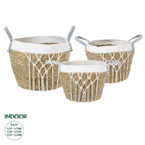 glo-20335-20335_0 GLOBOSTAR® ARTIFICIAL GARDEN SARDINIA 20335 ΣΕΤ 3 ΔΙΑΚΟΣΜΗΤΙΚΑ ΠΛΕΚΤΑ ΚΑΛΑΘΙΑ - ΚΑΣΠΩ ΓΛΑΣ