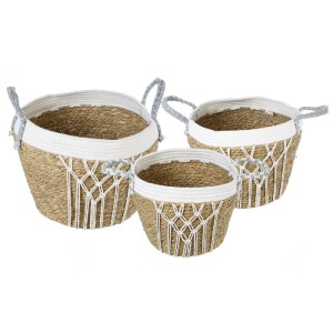 glo-20335-20335_3 GLOBOSTAR® ARTIFICIAL GARDEN SARDINIA 20335 ΣΕΤ 3 ΔΙΑΚΟΣΜΗΤΙΚΑ ΠΛΕΚΤΑ ΚΑΛΑΘΙΑ - ΚΑΣΠΩ ΓΛΑΣ