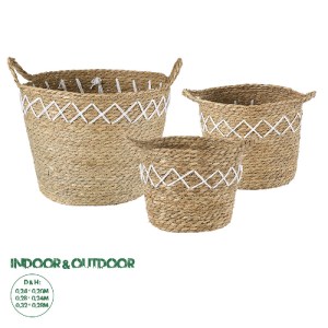 glo-20336-20336_0 GLOBOSTAR® ARTIFICIAL GARDEN ZAKYNTHOS 20336 ΣΕΤ 3 ΔΙΑΚΟΣΜΗΤΙΚΑ ΠΛΕΚΤΑ ΚΑΛΑΘΙΑ - ΚΑΣΠΩ ΓΛΑ