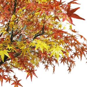 glo-20360-20360_3 GLOBOSTAR® ARTIFICIAL GARDEN AUTUMN MAPLE TREE 20360 ΤΕΧΝΗΤΟ ΔΙΑΚΟΣΜΗΤΙΚΟ ΔΕΝΤΡΟ ΦΘΙΝΟΠΩΡΙ