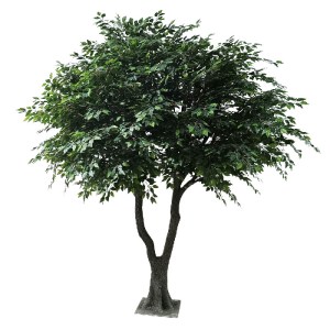 glo-20361-20361_2 GLOBOSTAR® ARTIFICIAL GARDEN BANYAN FICUS TREE 20361 ΤΕΧΝΗΤΟ ΔΙΑΚΟΣΜΗΤΙΚΟ ΔΕΝΤΡΟ ΙΝΔΙΚΗ ΣΥ