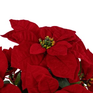 glo-20365-20365_3 GLOBOSTAR® ARTIFICIAL GARDEN CHRISTMASS FLOWER EUPHORBIA 20365 ΤΕΧΝΗΤΟ ΔΙΑΚΟΣΜΗΤΙΚΟ ΧΡΙΣΤΟ