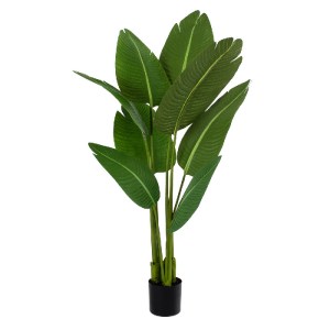 glo-20369-20369_2 GLOBOSTAR® ARTIFICIAL GARDEN GREEN STRELITZIA 20369 ΤΕΧΝΗΤΟ ΔΙΑΚΟΣΜΗΤΙΚΟ ΦΥΤΟ ΠΡΑΣΙΝΗ ΣΤΕΡ