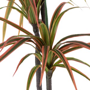 glo-20370-20370_3 GLOBOSTAR® ARTIFICIAL GARDEN DRAGON BLOOD TREE 20370 - ΤΕΧΝΗΤΟ ΔΙΑΚΟΣΜΗΤΙΚΟ ΦΥΤΟ ΔΡΑΚΑΙΝΑ 