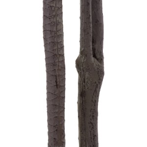glo-20370-20370_5 GLOBOSTAR® ARTIFICIAL GARDEN DRAGON BLOOD TREE 20370 - ΤΕΧΝΗΤΟ ΔΙΑΚΟΣΜΗΤΙΚΟ ΦΥΤΟ ΔΡΑΚΑΙΝΑ 