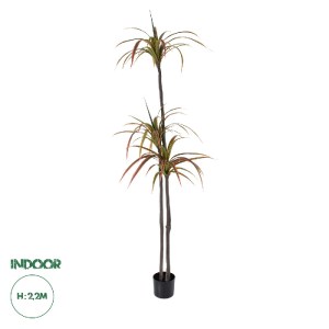 glo-20371-20371_0 GLOBOSTAR® ARTIFICIAL GARDEN DRAGON BLOOD TREE 20371 - ΤΕΧΝΗΤΟ ΔΙΑΚΟΣΜΗΤΙΚΟ ΦΥΤΟ ΔΡΑΚΑΙΝΑ 