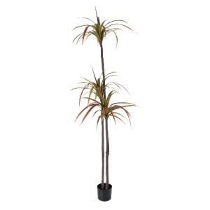 glo-20371-20371_2 GLOBOSTAR® ARTIFICIAL GARDEN DRAGON BLOOD TREE 20371 - ΤΕΧΝΗΤΟ ΔΙΑΚΟΣΜΗΤΙΚΟ ΦΥΤΟ ΔΡΑΚΑΙΝΑ 