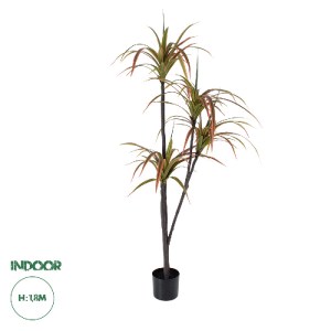 glo-20372-20372_0 GLOBOSTAR® ARTIFICIAL GARDEN DRAGON BLOOD TREE 20372 - ΤΕΧΝΗΤΟ ΔΙΑΚΟΣΜΗΤΙΚΟ ΦΥΤΟ ΔΡΑΚΑΙΝΑ 