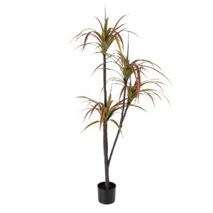 glo-20372-20372_2 GLOBOSTAR® ARTIFICIAL GARDEN DRAGON BLOOD TREE 20372 - ΤΕΧΝΗΤΟ ΔΙΑΚΟΣΜΗΤΙΚΟ ΦΥΤΟ ΔΡΑΚΑΙΝΑ 