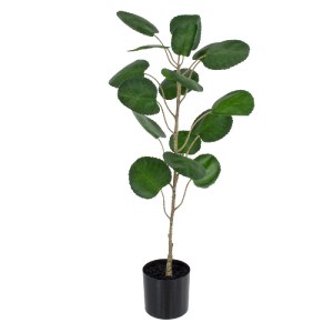 glo-20373-20373_2 GLOBOSTAR® ARTIFICIAL GARDEN POLYSCIAS BALFOURIANA TREE 20373 ΤΕΧΝΗΤΟ ΔΙΑΚΟΣΜΗΤΙΚΟ ΦΥΤΟ ΠΟ