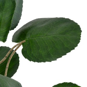 glo-20373-20373_3 GLOBOSTAR® ARTIFICIAL GARDEN POLYSCIAS BALFOURIANA TREE 20373 ΤΕΧΝΗΤΟ ΔΙΑΚΟΣΜΗΤΙΚΟ ΦΥΤΟ ΠΟ