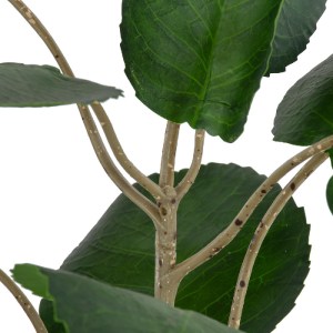 glo-20373-20373_4 GLOBOSTAR® ARTIFICIAL GARDEN POLYSCIAS BALFOURIANA TREE 20373 ΤΕΧΝΗΤΟ ΔΙΑΚΟΣΜΗΤΙΚΟ ΦΥΤΟ ΠΟ