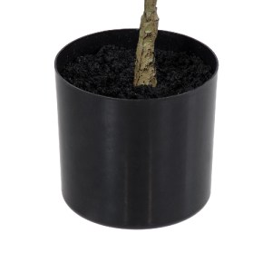 glo-20373-20373_5 GLOBOSTAR® ARTIFICIAL GARDEN POLYSCIAS BALFOURIANA TREE 20373 ΤΕΧΝΗΤΟ ΔΙΑΚΟΣΜΗΤΙΚΟ ΦΥΤΟ ΠΟ