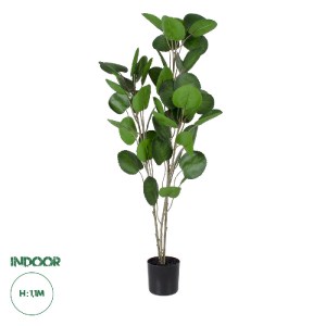 glo-20374-20374_0 GLOBOSTAR® ARTIFICIAL GARDEN POLYSCIAS BALFOURIANA TREE 20374 ΤΕΧΝΗΤΟ ΔΙΑΚΟΣΜΗΤΙΚΟ ΦΥΤΟ ΠΟ