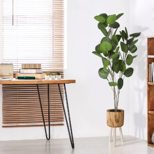glo-20374-20374_20553 GLOBOSTAR® ARTIFICIAL GARDEN POLYSCIAS BALFOURIANA TREE 20374 ΤΕΧΝΗΤΟ ΔΙΑΚΟΣΜΗΤΙΚΟ ΦΥΤΟ ΠΟ