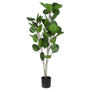 glo-20374-20374_2 GLOBOSTAR® ARTIFICIAL GARDEN POLYSCIAS BALFOURIANA TREE 20374 ΤΕΧΝΗΤΟ ΔΙΑΚΟΣΜΗΤΙΚΟ ΦΥΤΟ ΠΟ