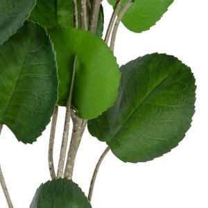 glo-20374-20374_3 GLOBOSTAR® ARTIFICIAL GARDEN POLYSCIAS BALFOURIANA TREE 20374 ΤΕΧΝΗΤΟ ΔΙΑΚΟΣΜΗΤΙΚΟ ΦΥΤΟ ΠΟ