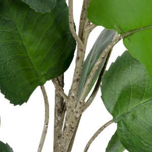 glo-20374-20374_4 GLOBOSTAR® ARTIFICIAL GARDEN POLYSCIAS BALFOURIANA TREE 20374 ΤΕΧΝΗΤΟ ΔΙΑΚΟΣΜΗΤΙΚΟ ΦΥΤΟ ΠΟ