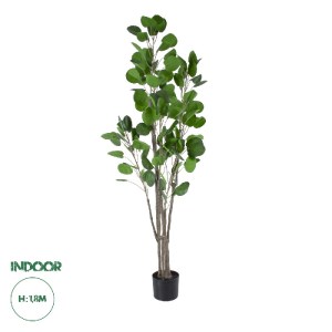 glo-20375-20375_0 GLOBOSTAR® ARTIFICIAL GARDEN POLYSCIAS BALFOURIANA TREE 20375 ΤΕΧΝΗΤΟ ΔΙΑΚΟΣΜΗΤΙΚΟ ΦΥΤΟ ΠΟ