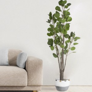 glo-20375-20375_20314 GLOBOSTAR® ARTIFICIAL GARDEN POLYSCIAS BALFOURIANA TREE 20375 ΤΕΧΝΗΤΟ ΔΙΑΚΟΣΜΗΤΙΚΟ ΦΥΤΟ ΠΟ