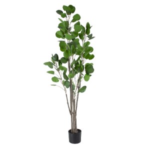glo-20375-20375_2 GLOBOSTAR® ARTIFICIAL GARDEN POLYSCIAS BALFOURIANA TREE 20375 ΤΕΧΝΗΤΟ ΔΙΑΚΟΣΜΗΤΙΚΟ ΦΥΤΟ ΠΟ