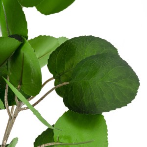 glo-20375-20375_3 GLOBOSTAR® ARTIFICIAL GARDEN POLYSCIAS BALFOURIANA TREE 20375 ΤΕΧΝΗΤΟ ΔΙΑΚΟΣΜΗΤΙΚΟ ΦΥΤΟ ΠΟ