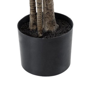 glo-20375-20375_5 GLOBOSTAR® ARTIFICIAL GARDEN POLYSCIAS BALFOURIANA TREE 20375 ΤΕΧΝΗΤΟ ΔΙΑΚΟΣΜΗΤΙΚΟ ΦΥΤΟ ΠΟ