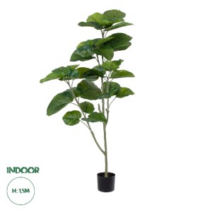 glo-20378-20378_0 GLOBOSTAR® ARTIFICIAL GARDEN FICUS RELIGIOSA TREE 20378 ΤΕΧΝΗΤΟ ΔΙΑΚΟΣΜΗΤΙΚΟ ΦΥΤΟ ΙΕΡΗ ΣΥΚ