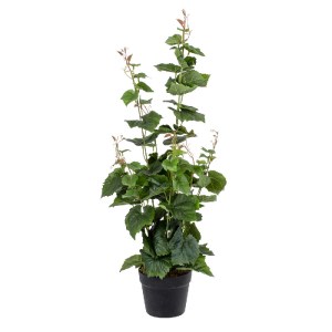 glo-20379-20379_2 GLOBOSTAR® ARTIFICIAL GARDEN VITIS GRAPE TREE 20379 ΤΕΧΝΗΤΟ ΔΙΑΚΟΣΜΗΤΙΚΟ ΦΥΤΟ ΑΜΠΕΛΟΣ Υ90C