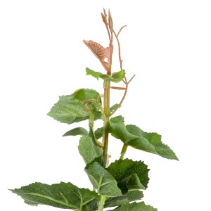 glo-20379-20379_4 GLOBOSTAR® ARTIFICIAL GARDEN VITIS GRAPE TREE 20379 ΤΕΧΝΗΤΟ ΔΙΑΚΟΣΜΗΤΙΚΟ ΦΥΤΟ ΑΜΠΕΛΟΣ Υ90C