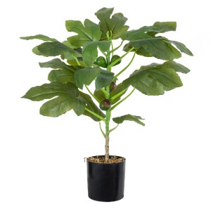 glo-20380-20380_2 GLOBOSTAR® ARTIFICIAL GARDEN FIG TREE 20380 ΤΕΧΝΗΤΟ ΔΙΑΚΟΣΜΗΤΙΚΟ ΦΥΤΟ ΣΥΚΙΑ Υ50CM