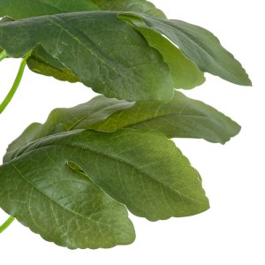 glo-20380-20380_3 GLOBOSTAR® ARTIFICIAL GARDEN FIG TREE 20380 ΤΕΧΝΗΤΟ ΔΙΑΚΟΣΜΗΤΙΚΟ ΦΥΤΟ ΣΥΚΙΑ Υ50CM