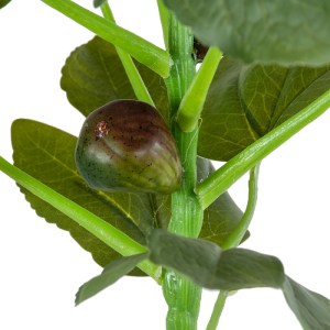 glo-20380-20380_4 GLOBOSTAR® ARTIFICIAL GARDEN FIG TREE 20380 ΤΕΧΝΗΤΟ ΔΙΑΚΟΣΜΗΤΙΚΟ ΦΥΤΟ ΣΥΚΙΑ Υ50CM