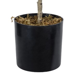 glo-20380-20380_6 GLOBOSTAR® ARTIFICIAL GARDEN FIG TREE 20380 ΤΕΧΝΗΤΟ ΔΙΑΚΟΣΜΗΤΙΚΟ ΦΥΤΟ ΣΥΚΙΑ Υ50CM