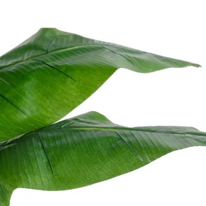 glo-20381-20381_3 GLOBOSTAR® ARTIFICIAL GARDEN BANANA STRELITZIA REGINAE 20381 - ΤΕΧΝΗΤΟ ΔΙΑΚΟΣΜΗΤΙΚΟ ΦΥΤΟ  