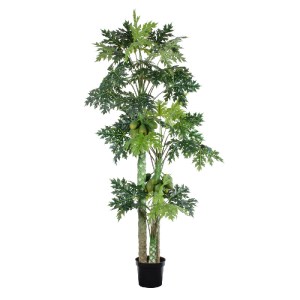 glo-20383-20383_2 GLOBOSTAR® ARTIFICIAL GARDEN PAPAYA TREE 20383 ΤΕΧΝΗΤΟ ΔΙΑΚΟΣΜΗΤΙΚΟ ΦΥΤΟ  ΠΑΠΑΓΙΑ Υ270CM