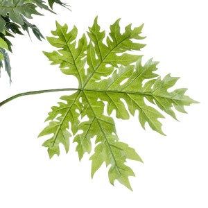 glo-20383-20383_6 GLOBOSTAR® ARTIFICIAL GARDEN PAPAYA TREE 20383 ΤΕΧΝΗΤΟ ΔΙΑΚΟΣΜΗΤΙΚΟ ΦΥΤΟ  ΠΑΠΑΓΙΑ Υ270CM