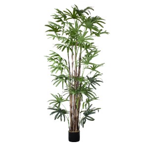 glo-20384-20384_2 GLOBOSTAR® ARTIFICIAL GARDEN BROADLEAF LADY PALM TREE 20384 ΤΕΧΝΗΤΟ ΔΙΑΚΟΣΜΗΤΙΚΟ ΦΥΤΟ ΠΛΑΤ