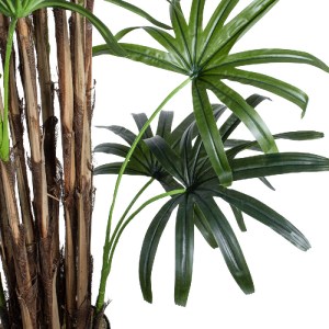 glo-20384-20384_3 GLOBOSTAR® ARTIFICIAL GARDEN BROADLEAF LADY PALM TREE 20384 ΤΕΧΝΗΤΟ ΔΙΑΚΟΣΜΗΤΙΚΟ ΦΥΤΟ ΠΛΑΤ