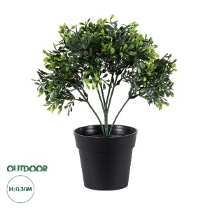 glo-20387-20387_0 GLOBOSTAR® ARTIFICIAL GARDEN BUXUS 20387 ΤΕΧΝΗΤΟ ΔΙΑΚΟΣΜΗΤΙΚΟ ΦΥΤΟ ΠΥΞΟΣ Υ30CM