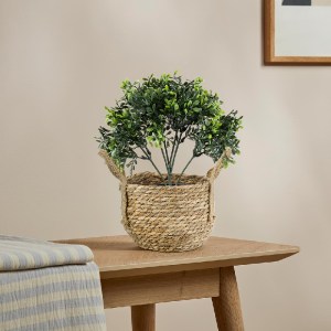 glo-20387-20387_20275 GLOBOSTAR® ARTIFICIAL GARDEN BUXUS 20387 ΤΕΧΝΗΤΟ ΔΙΑΚΟΣΜΗΤΙΚΟ ΦΥΤΟ ΠΥΞΟΣ Υ30CM