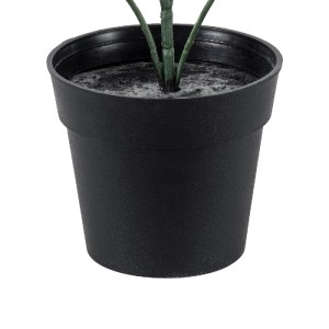 glo-20387-20387_4 GLOBOSTAR® ARTIFICIAL GARDEN BUXUS 20387 ΤΕΧΝΗΤΟ ΔΙΑΚΟΣΜΗΤΙΚΟ ΦΥΤΟ ΠΥΞΟΣ Υ30CM