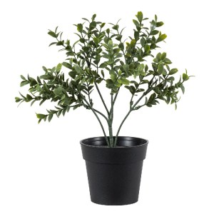 glo-20388-20388_2 GLOBOSTAR® ARTIFICIAL GARDEN BUXUS 20388 ΤΕΧΝΗΤΟ ΔΙΑΚΟΣΜΗΤΙΚΟ ΦΥΤΟ ΠΥΞΟΣ Υ30CM
