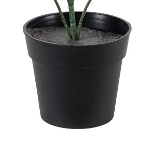 glo-20388-20388_4 GLOBOSTAR® ARTIFICIAL GARDEN BUXUS 20388 ΤΕΧΝΗΤΟ ΔΙΑΚΟΣΜΗΤΙΚΟ ΦΥΤΟ ΠΥΞΟΣ Υ30CM