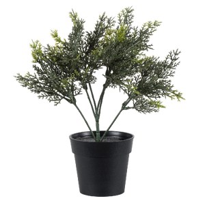 glo-20389-20389_2 GLOBOSTAR® ARTIFICIAL GARDEN LEMON CYPRESS 20389 ΤΕΧΝΗΤΟ ΔΙΑΚΟΣΜΗΤΙΚΟ ΦΥΤΟ ΛΕΜΟΝΟΚΥΠΑΡΙΣΣΟ
