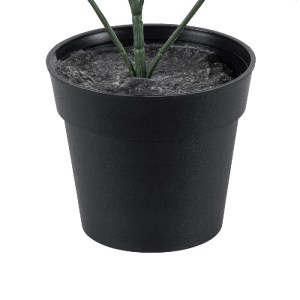 glo-20389-20389_4 GLOBOSTAR® ARTIFICIAL GARDEN LEMON CYPRESS 20389 ΤΕΧΝΗΤΟ ΔΙΑΚΟΣΜΗΤΙΚΟ ΦΥΤΟ ΛΕΜΟΝΟΚΥΠΑΡΙΣΣΟ
