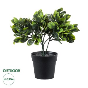 glo-20390-20390_0 GLOBOSTAR® ARTIFICIAL GARDEN ANUBIA BARTERI 20390 ΤΕΧΝΗΤΟ ΔΙΑΚΟΣΜΗΤΙΚΟ ΦΥΤΟ ΑΝΟΥΜΠΙΑ Υ30CM