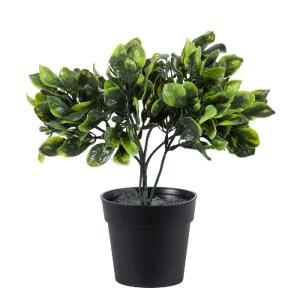 glo-20390-20390_2 GLOBOSTAR® ARTIFICIAL GARDEN ANUBIA BARTERI 20390 ΤΕΧΝΗΤΟ ΔΙΑΚΟΣΜΗΤΙΚΟ ΦΥΤΟ ΑΝΟΥΜΠΙΑ Υ30CM
