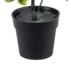 glo-20390-20390_4 GLOBOSTAR® ARTIFICIAL GARDEN ANUBIA BARTERI 20390 ΤΕΧΝΗΤΟ ΔΙΑΚΟΣΜΗΤΙΚΟ ΦΥΤΟ ΑΝΟΥΜΠΙΑ Υ30CM